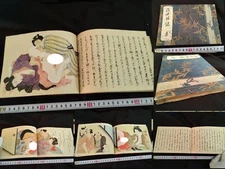 Antique Japan Shunga Paper picture on Book UKIYOE Erotic woodblock print-g1010-2