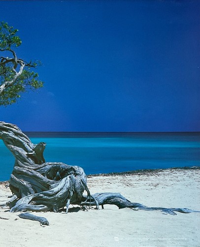 Aruba Beach Scenic Poster 12 x 36 - Picture 3 of 3