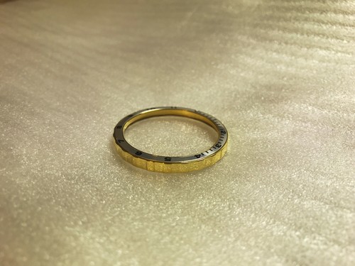 12 HOUR SILVER INSERT 38MM GOLD PVD BEZEL VOSTOK AMPHIBIAN KOMANDIRSKIE 3812SLGL - Picture 3 of 4