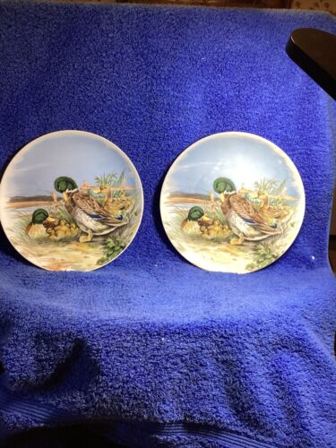 Vintage 7,5 Zoll Sammler bemalt Stockente Familie Teller, 2er Set, Made in Japan - Bild 2 von 4