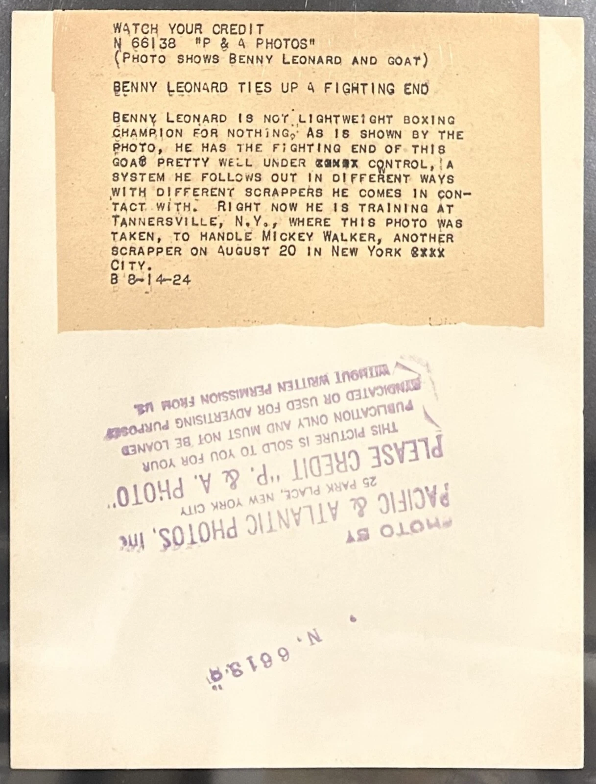 1924年 フォトタイプ 1-世界軽量チャンピオンBenny Leonard Battles a Goat - 画像2/2