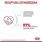 Bild 9 von 12