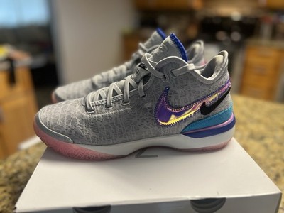 Nike Zoom LeBron NXXT Gen 1984 Wolf Grey Pink Blue Men's DR8784