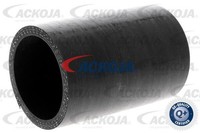 Ackoja Ladeluftschlauch A38-9601 Passend FüR Nissan