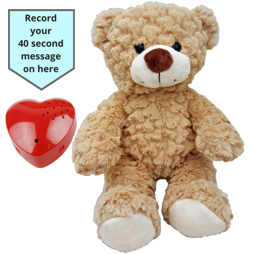 teddy bear recorder