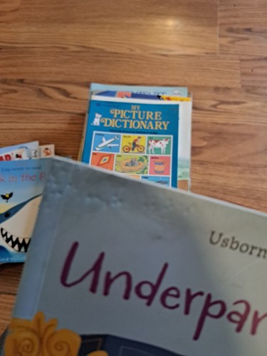 Homeschool Curriculum Lot Of 20 Workbooks/Resources Kindergarten K books - 第 23/23 張圖片