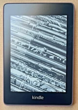 Amazon Kindle Paperwhite (10th Generation) 8GB, Wi-Fi, 6in - Plum