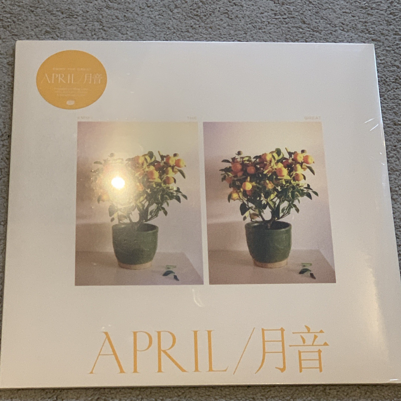 April by Emmy the Great Vinyl Record, 2020 New Sealed