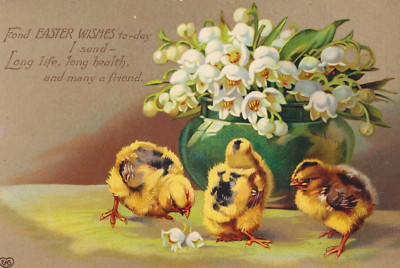 Antike Postkarte EAS Ostern 1908 Küken Blumen Vers Shrewsbury verschickt