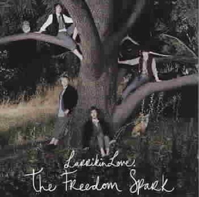 Freedom Spark by Larrikin Love