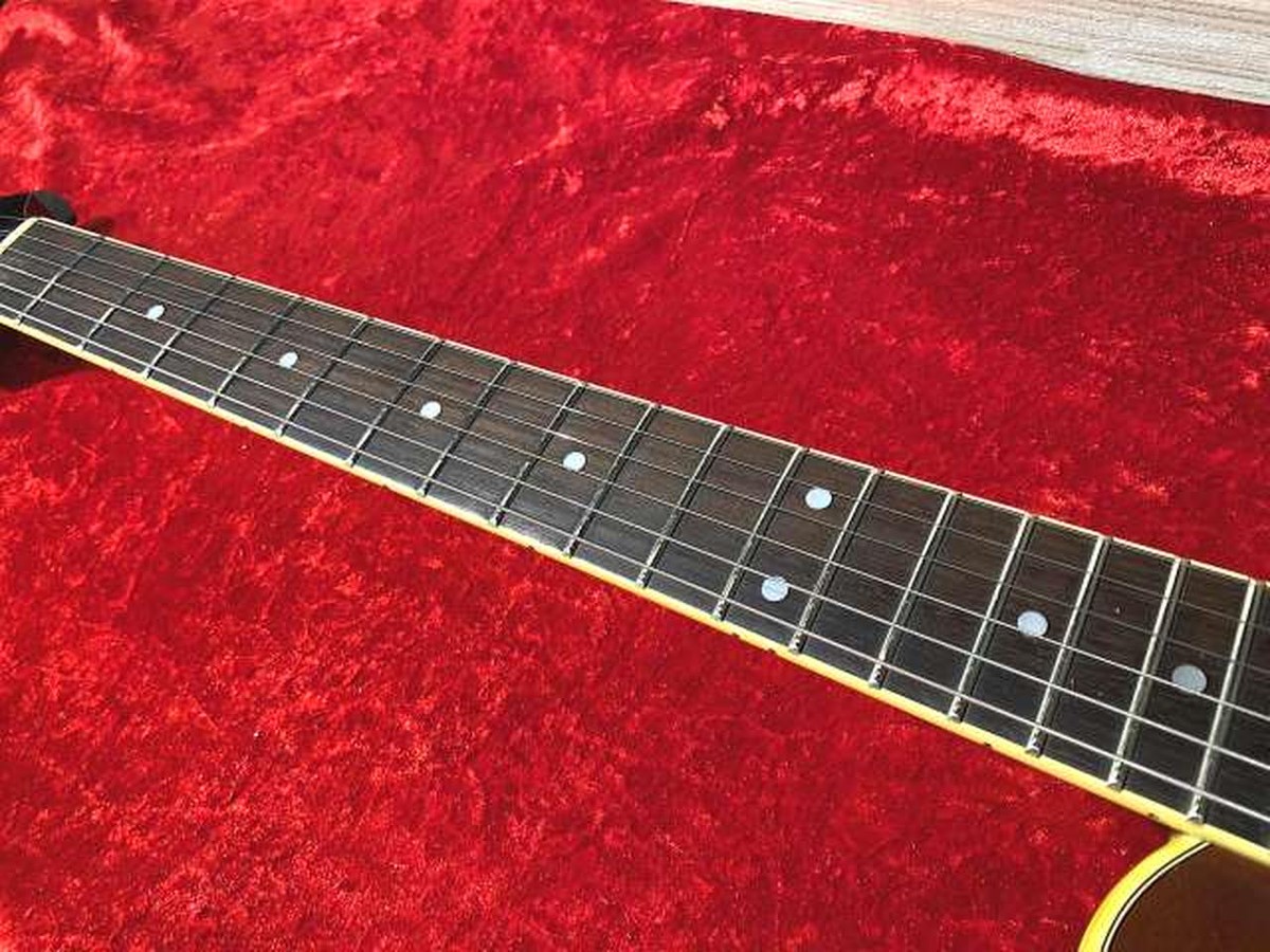 Aria Pro Ⅱ PE-780 Aria Pro II／PE-780】美しいキルテッド・メイプル・トップと