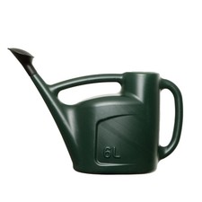Whitefurze 6L Watering Can with Detachable Sprinkler Rose for Water Flow Cont...