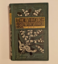 Wide Wide World by Miss Wetherell The Lily Series Ward Lock c1890 RARE