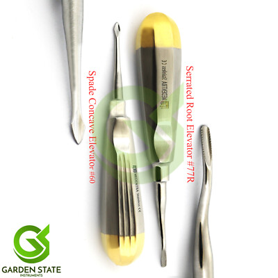 Dental Extraction Root Elevator #77R Tooth Spade Concave #60 Elevators Gold/H
