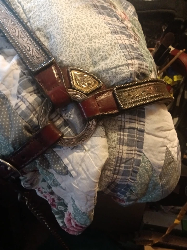 STUNNING Custom Made. Markings-Mexico-German Silver / HALTER & LEAD~Showmanship - Image 2 of 4