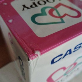 Casio Loopy My Seal Computer Console SV-100 SET B w/Box 2Games Seal Cartridge