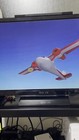 Video 1 von 1