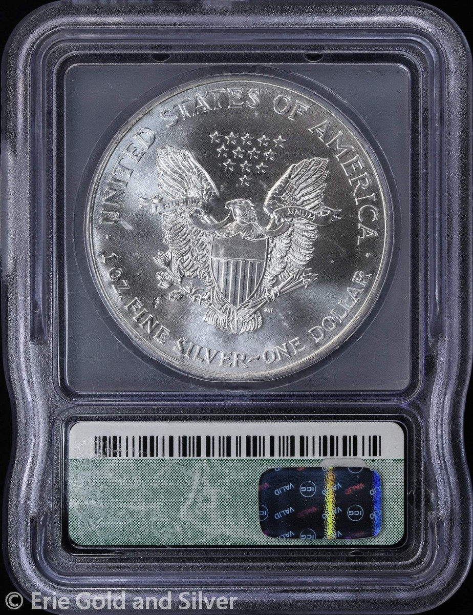 2001 $1 American Silver Eagle ICG MS 69 | Strike Thru Error