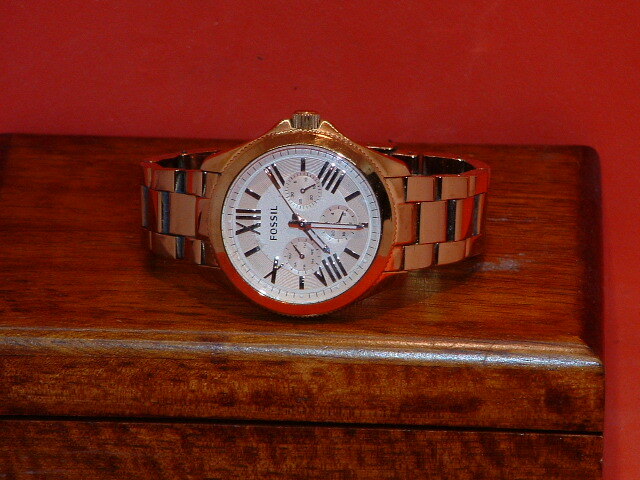 Fossil Women's AM4511 Cecile 