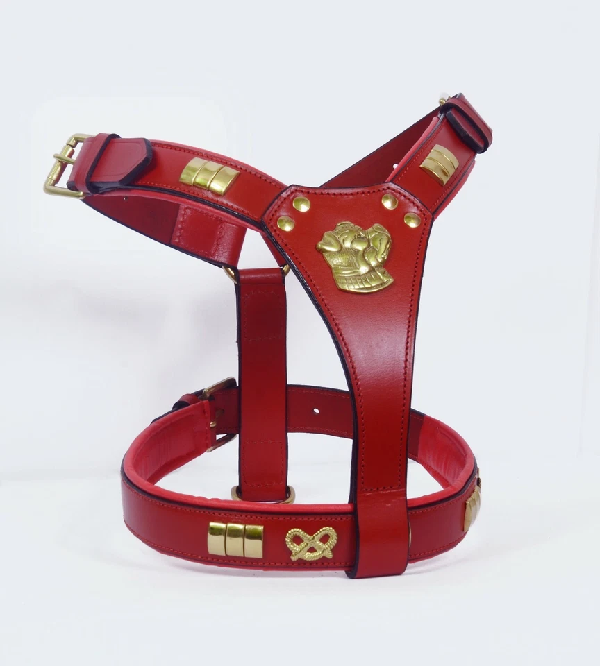 Leather Dog Harness Designer with staffy knot fully padded brass fitting - Image 4 of 4