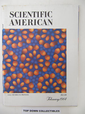 Scientific American Magazine   Feb. 1984   Number Systems In Earliest Records