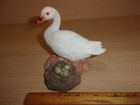 Picture 2 of 5