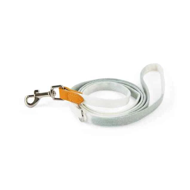 Correa para perro pequeño YOULY The Avant Garde verde tie-dye, 4 pies Foto 3 de 4