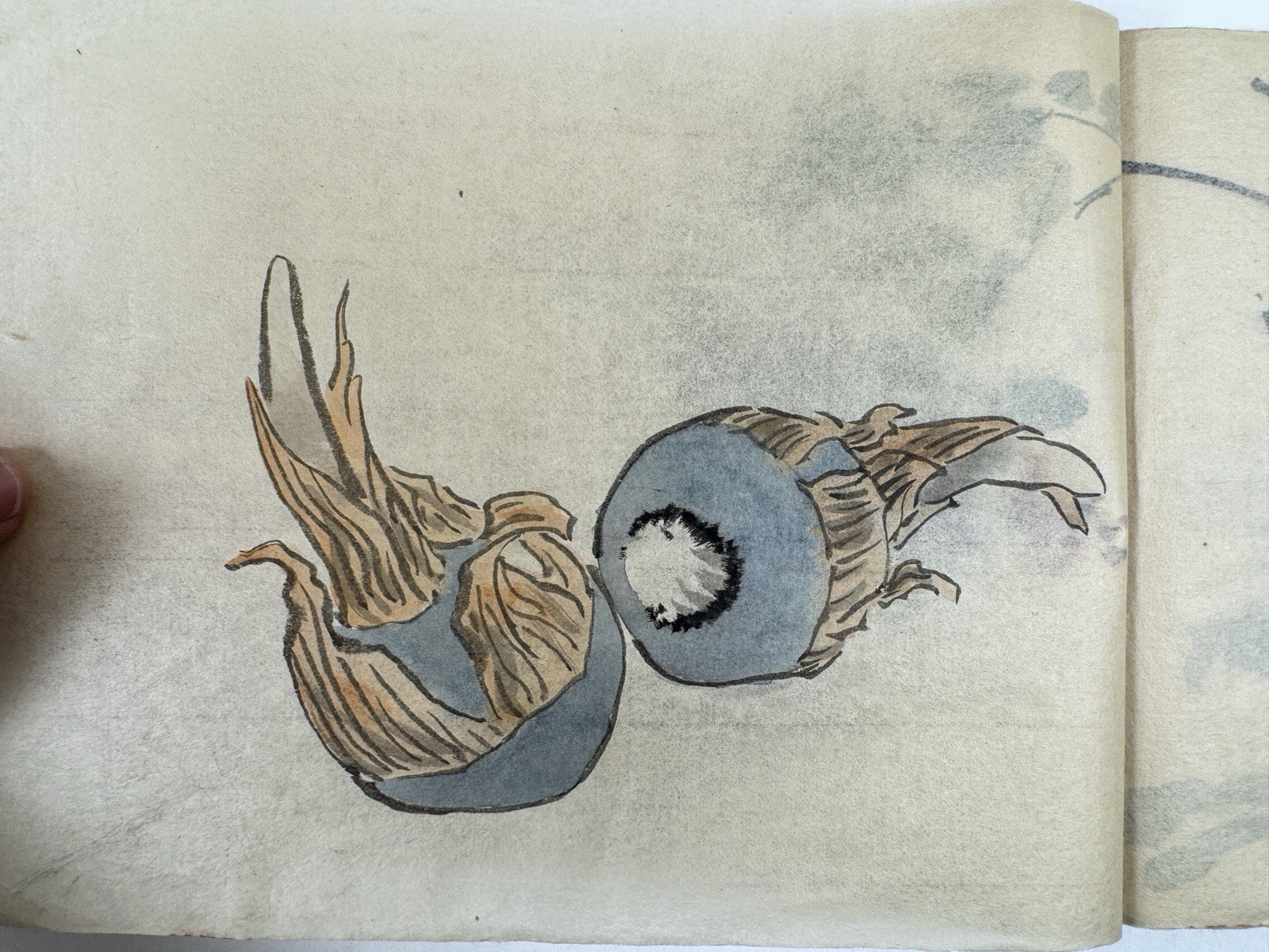 Picture 13 of 20