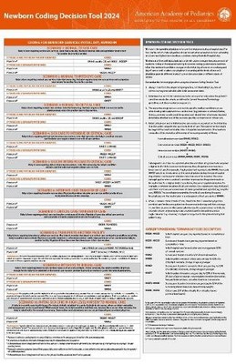 Newborn Coding Decision Tool 2024 - 9781610026918