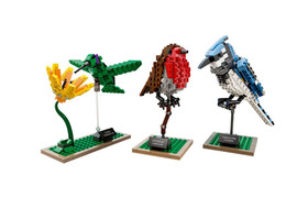 Lego Ideas 21301 Birds 580 Pieces Blue Jay Hummingbird Robin Retired 2015 Sealed