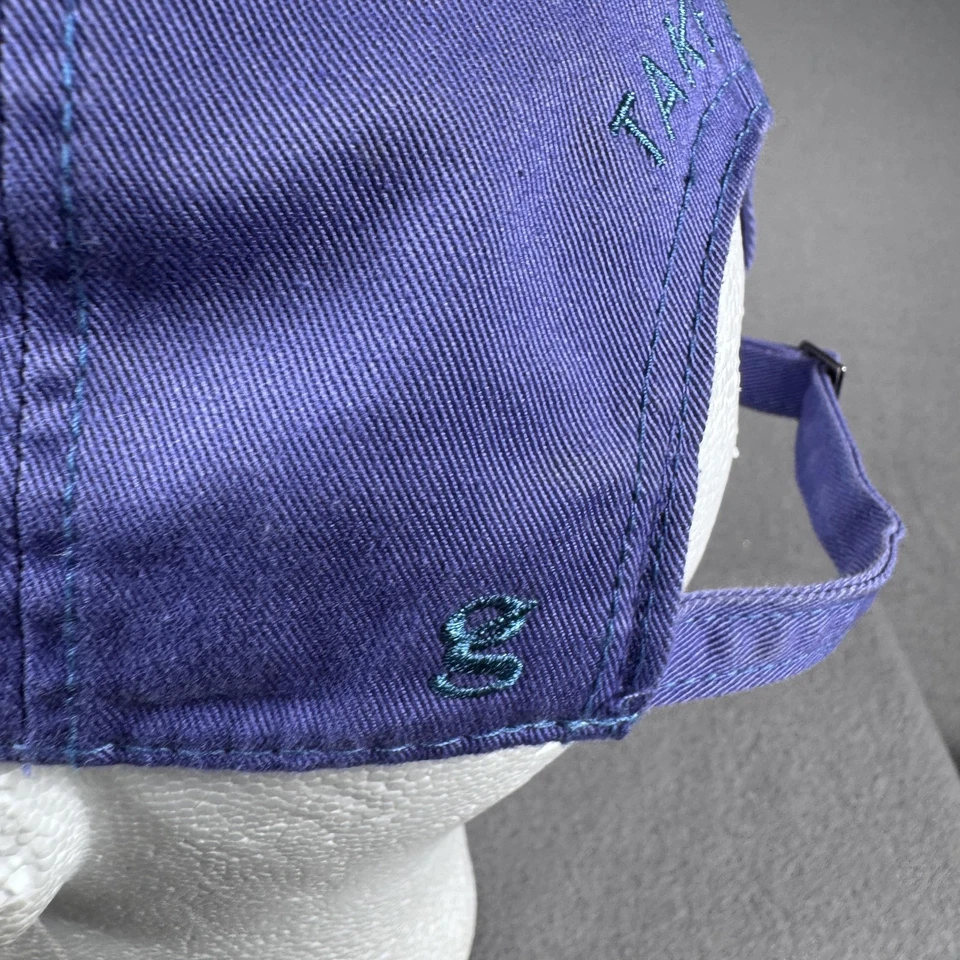 Mount Rainier шляпа крышка ремень назад фиолетовый бирюзовый взять поход национальный парк мужской - Изображение 4 из 4