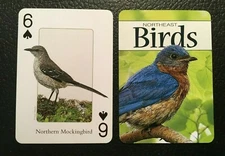 Swap Playing Card  Birds   NORTHERN MOCKINGBIRD    Stan Tekielas