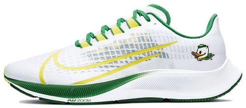 pegasus 37 raiders