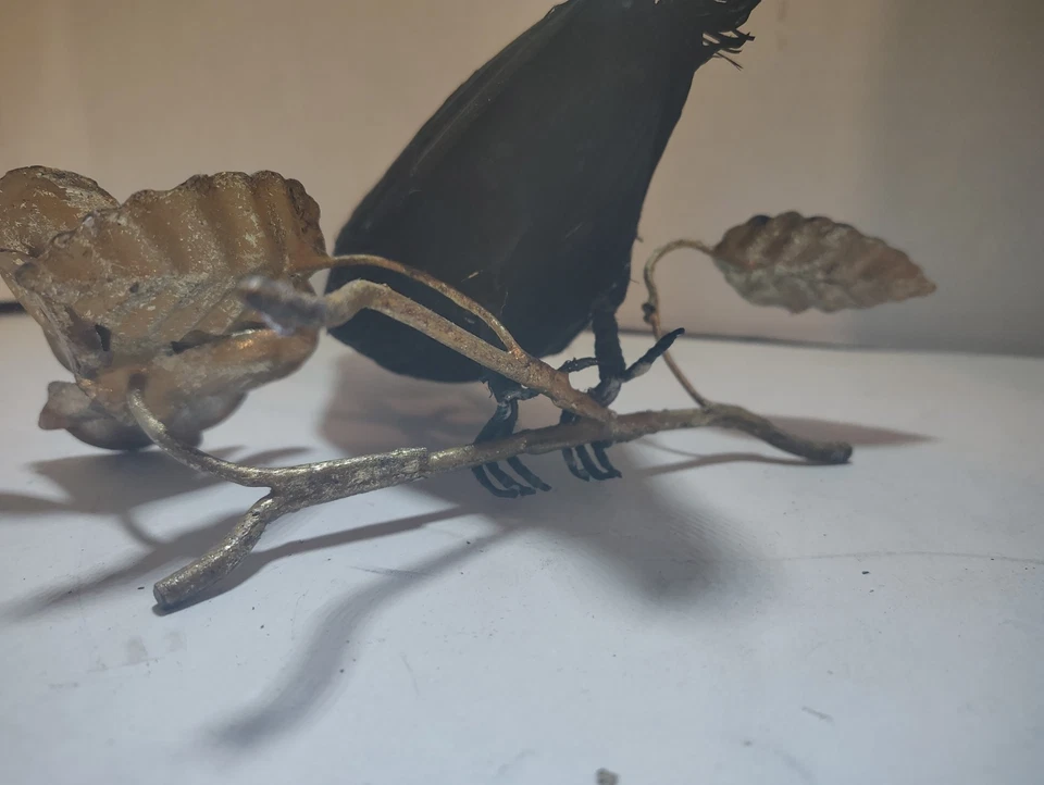 CroOn A Golden Branch Foto 3 de 4