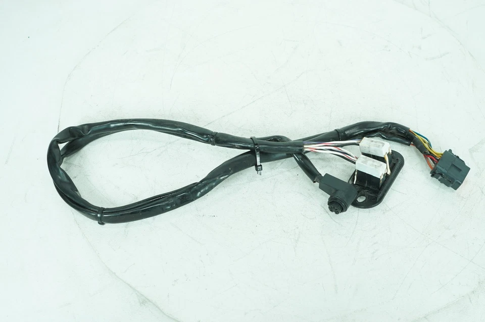 Harley Touring Electra Classic 2001 fabricante de equipos originales carenado interior cableado arnés interruptor Foto 4 de 4