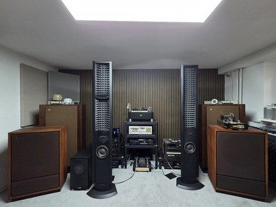 Tannoy Berkeley  Dual Concentric Lautsprecher 15inch 385  und 385/A