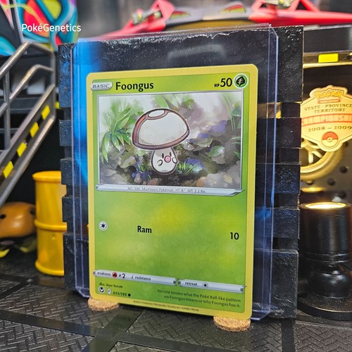 Foongus Silver Tempest Pokémon TCG 011/195 Sword & Shield Common - Picture 2 of 6