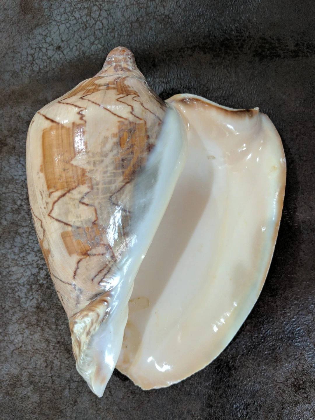 Picture 5 of 6