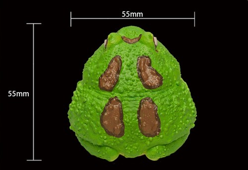 【Auf Lager】 Tier himmlischer Körper Ceratophrys Pacman gehörnter Frosch grüne Statue - Bild 10 von 10
