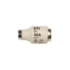 Zekering inzetstuk 40A DIII gG/ BiWtz 500V E33 002313405