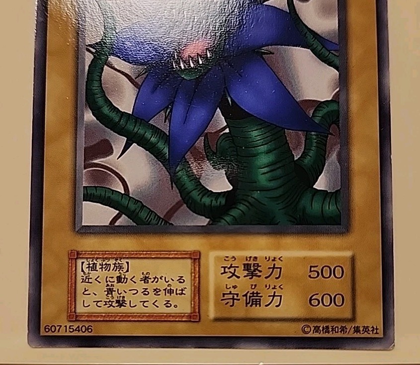 green tentacle yugioh card Yugioh Japanese Exclusive Common Tentacle Plant & Man Eater No_Ref BOOSTER5  1999