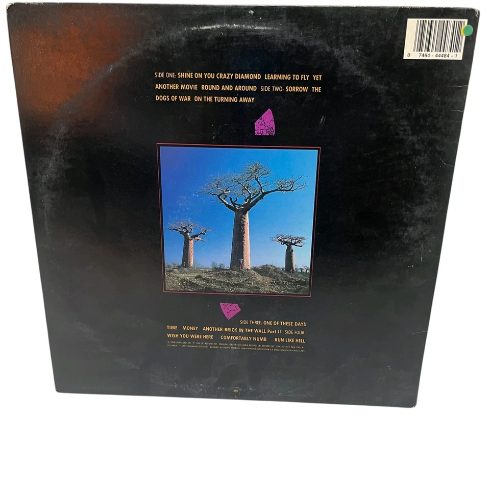 Pink Floyd Delicate Sound of Thunder Live Vintage Vinyl Double LP 1988 EX - Image 2 of 4