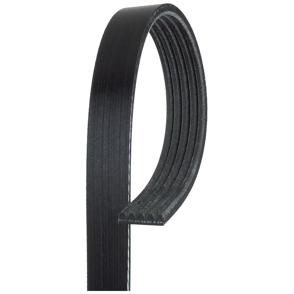 Gates 5PK1335 Keilrippenriemen-image