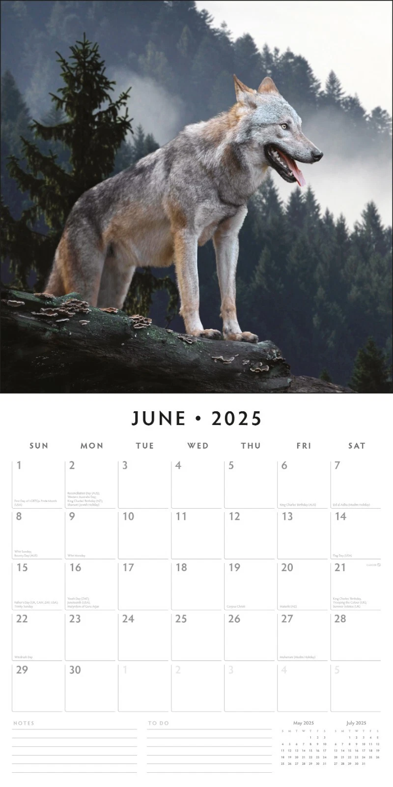 Wolves 2025 Square Wall Calendar