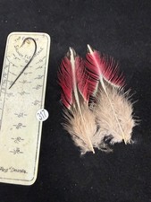 RARE COLLECTORS Vintage Blood Pheasant Feathers 317-322
