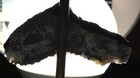 Bild 20 von 24