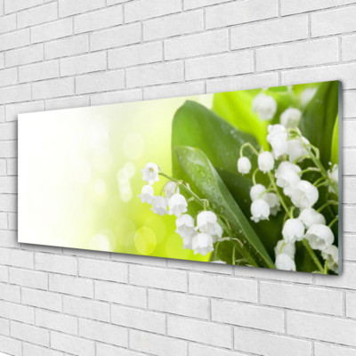 Tulup Tableau murale Impression sous verre 125x50 Herbe