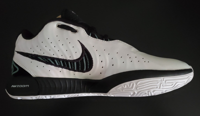 Size 9.5 - Nike LeBron 21 Conchiolin for sale online | eBay