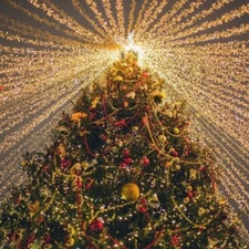 CHRISTMAS TREE Fragrance Oil to craft Candles Soaps Lotions Bath products