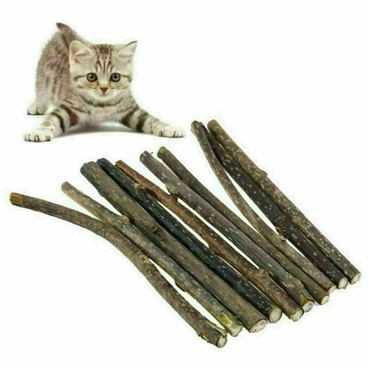Cat 2024 chew sticks